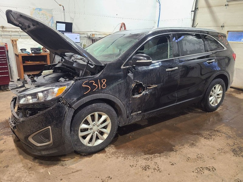 Driver Rear Side Door Thru 06/03/18 Fits 16-19 SORENTO 653370