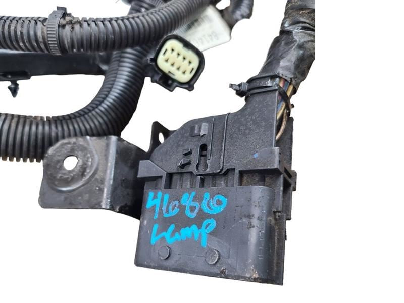 ESCALAESV 2017 Lamp Wiring Harness 590734