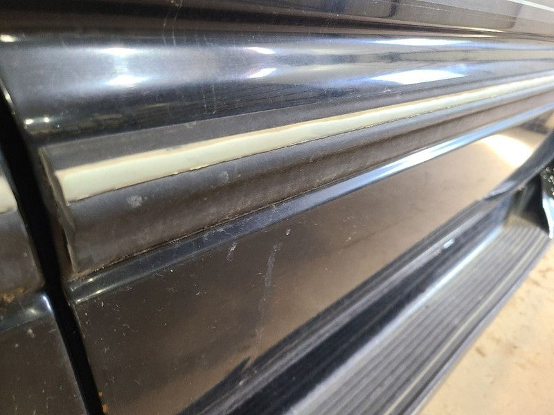 RAM1500   1996 Door Moulding Front 662841