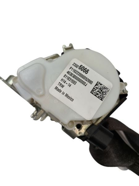 SILVRDO15 2017 Seat Belt Rear 600715