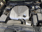 Seat Belt Front Bucket Driver Buckle Fits 07-11 LEXUS GS350 620192