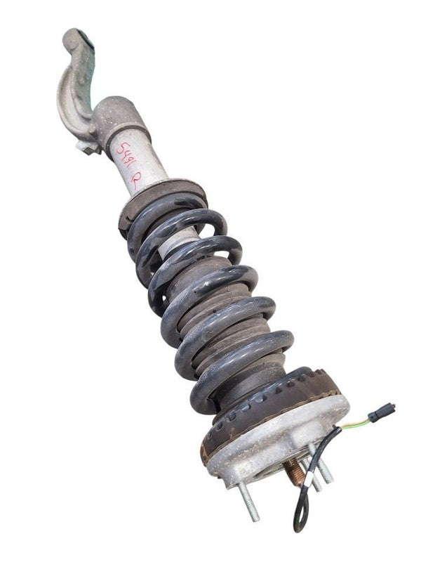 GHIBLI    2019 Strut 664938
