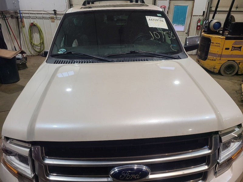 Hood Fits 07-17 EXPEDITION 664521
