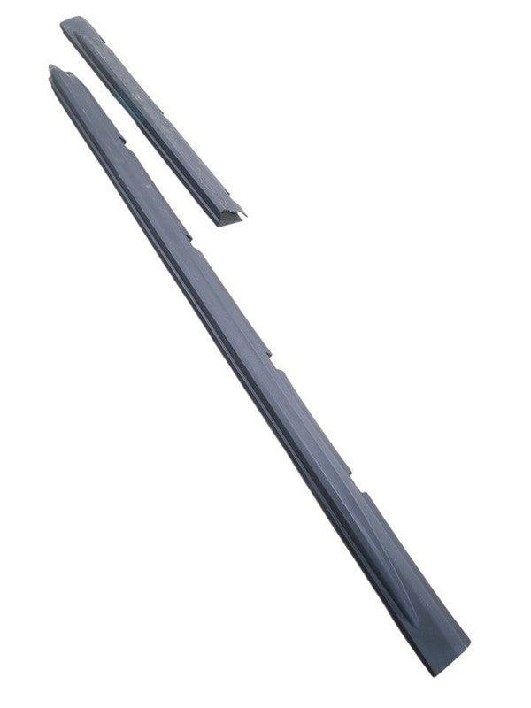 TRANSIT15 2019 Rocker Panel Moulding 666517