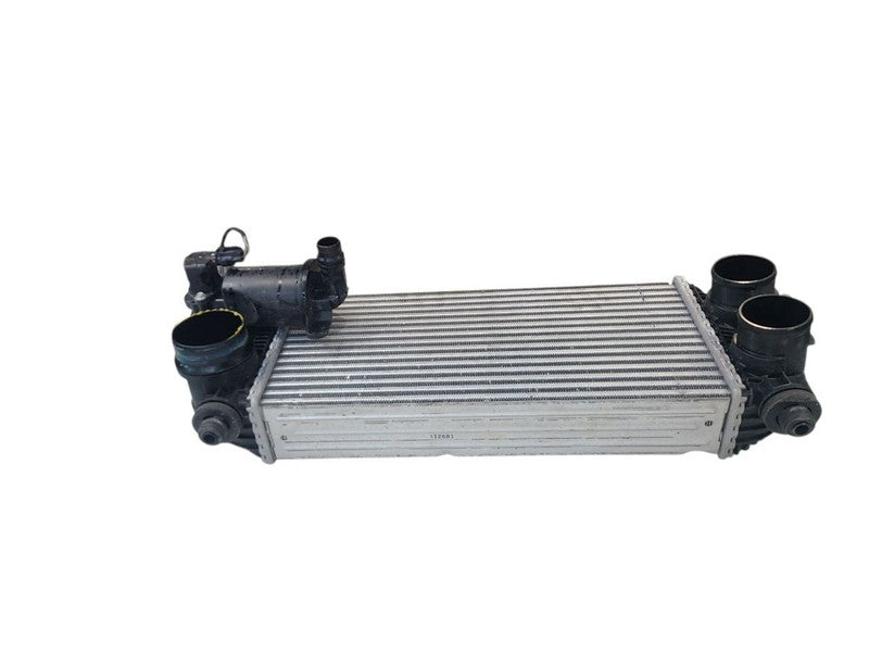 Intercooler 2.7L Turbo Fits 21-25 FORD F150 PICKUP 680240