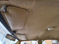 DART      1975 Headliner 668147