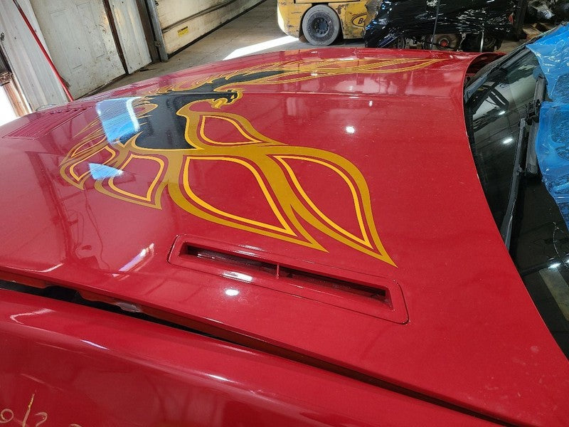 Hood Excluding Formula Trans AM Fits 85-92 FIREBIRD 677644