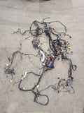 BOXSTER   2006 Body Wire Harness 604328