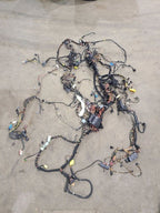 BOXSTER   2006 Body Wire Harness 604328