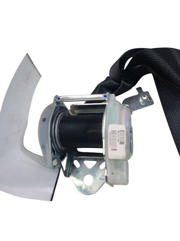 FIT       2019 Seat Belt Rear 649259