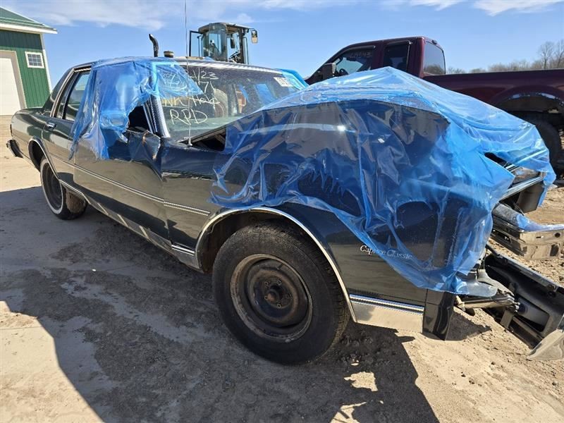 CAPRICE   1985 Seat Belt Rear 580653