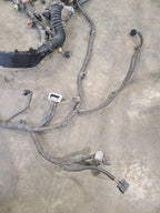 SEQUOIA   2005 Engine Wire Harness 664287