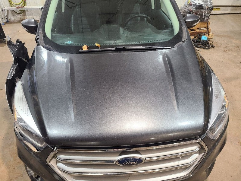 Hood Fits 17-19 ESCAPE 650370