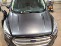 Hood Fits 17-19 ESCAPE 650370