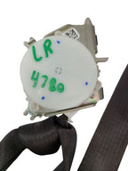 SILVRDO15 2017 Seat Belt Rear 600714