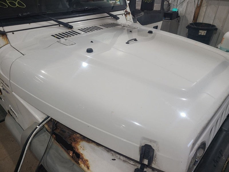 Hood Fits 97-06 WRANGLER 658101