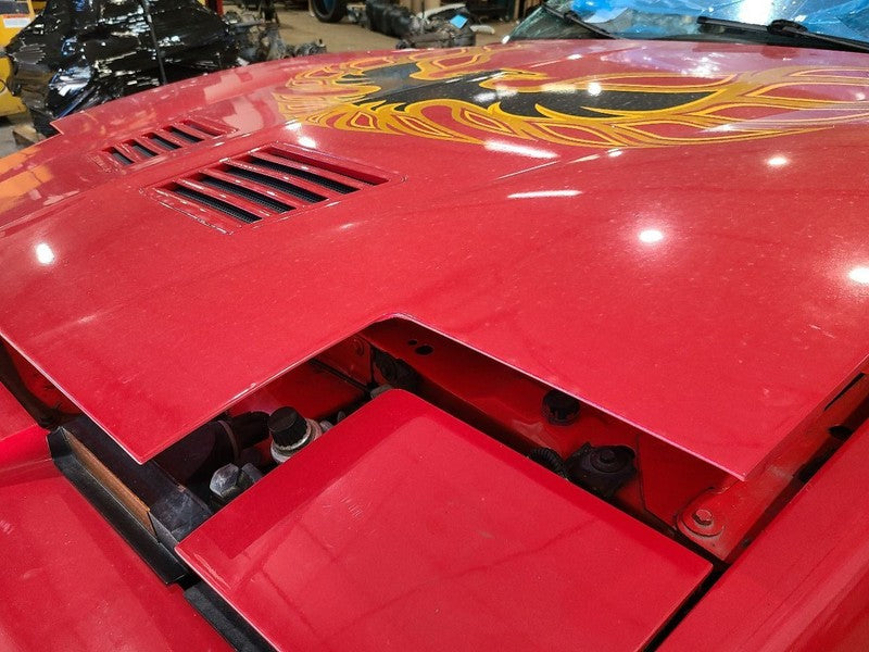 Hood Excluding Formula Trans AM Fits 85-92 FIREBIRD 677644