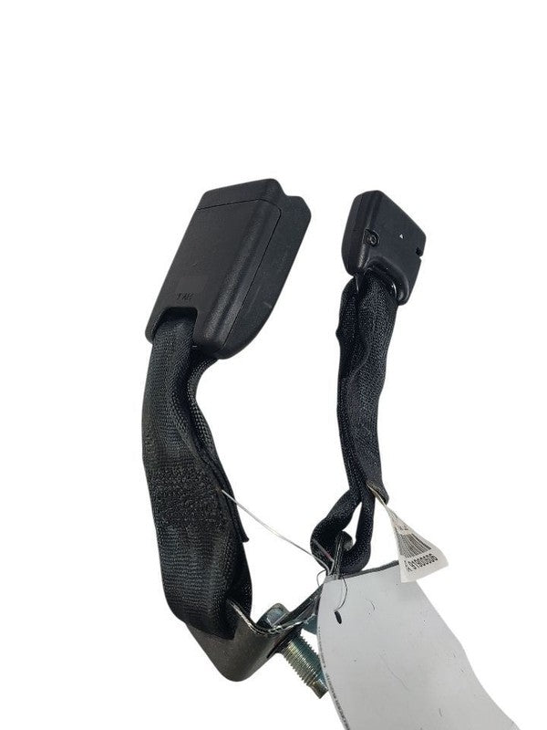 FIT       2019 Seat Belt Rear 649260