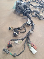 F150      2018 Lamp Wiring Harness 674051