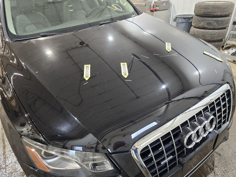 Hood Fits 09-12 AUDI Q5 634667