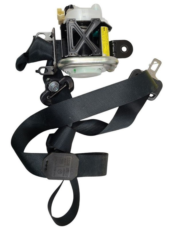 RX8       2005 Seat Belt Rear 570723