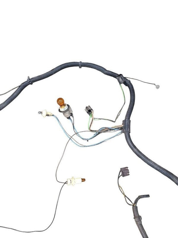 CUSTOM-SW 1978 Lamp Wiring Harness 647945