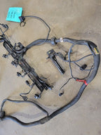 SPRINTV25 2006 Engine Wire Harness 672584