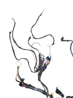 4 RUNNER  2005 Lamp Wiring Harness 639677