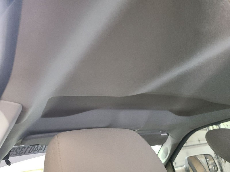 RAM2500   2010 Headliner 661996
