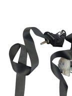 CHALLENGE 2012 Seat Belt Rear 602313
