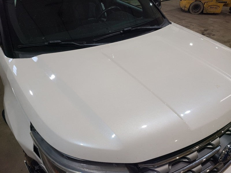 Hood Fits 16-19 EXPLORER 666128