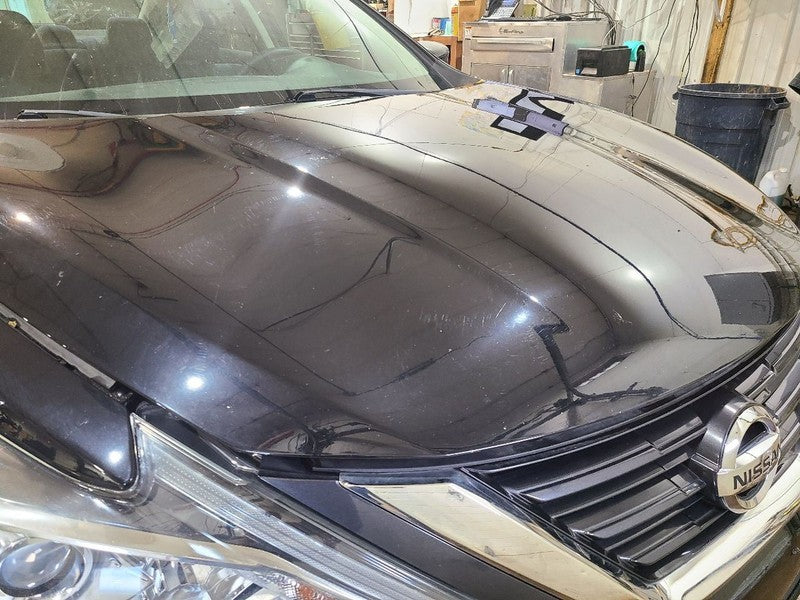 Hood Sedan Fits 16-18 ALTIMA 665373