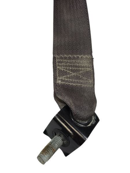 FLEX      2018 Seat Belt Rear 598458
