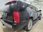 Seat Belt Front Bucket And Bench Driver Fits 10 AVALANCHE 1500 645248