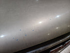 Hood Classic Style Creased Door Skin Fits 99-07 SIERRA 1500 PICKUP 650