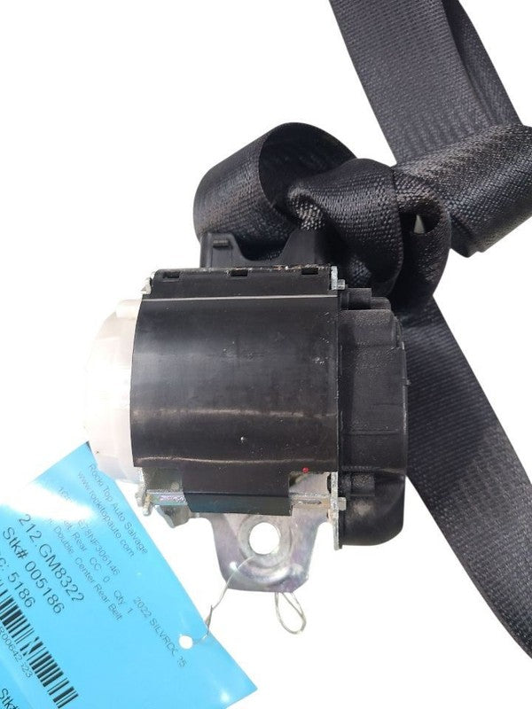 SILVRDO25 2022 Seat Belt Rear 642623