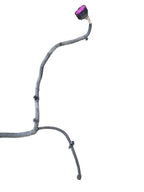 RAM2500   2017 Lamp Wiring Harness 640069