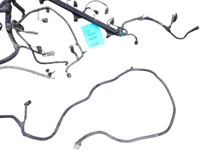 WRANGLER  2006 Engine Wire Harness 655562