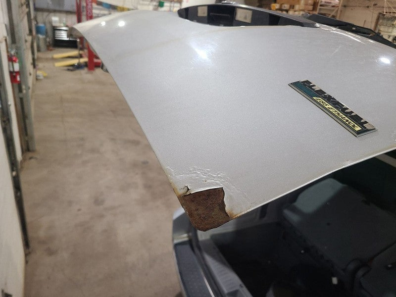 Trunk/Hatch/Tailgate Passenger Van Light Tint Glass Fits 08-10 CARAVAN