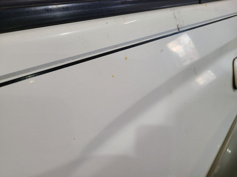 Driver Rear Side Door Limited Body Side Moulding Fits 96-02 4 RUNNER 6