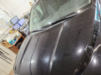 Hood Fits 08-22 SEQUOIA 672992