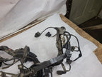BOXSTER   2006 Engine Wire Harness 604326