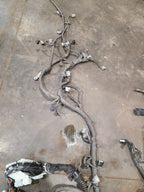 GS350     2007 Engine Wire Harness 620290