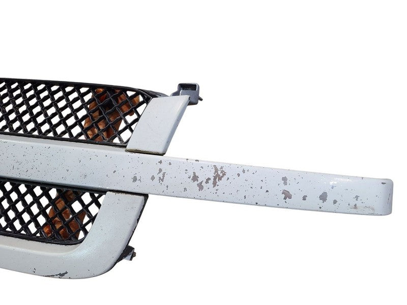 Grille Without Body Cladding Fits 03-06 AVALANCHE 1500 649666
