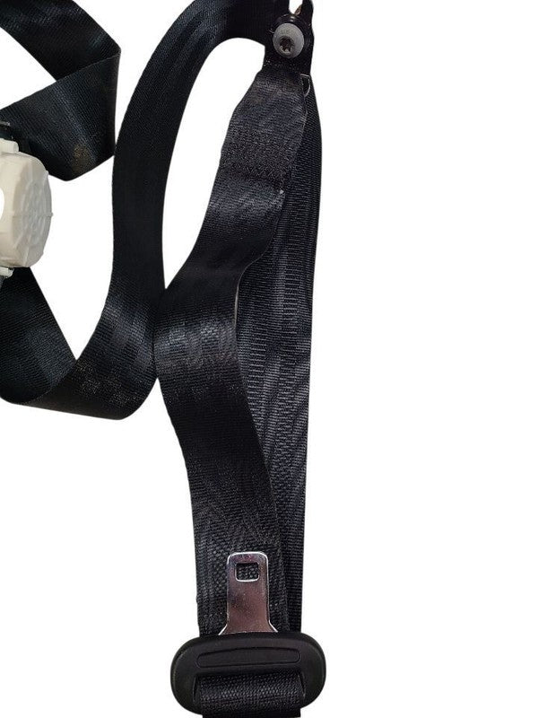 FUSION    2019 Seat Belt Rear 636101