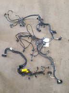 COUNTRYMA 2019 Engine Wire Harness 674748