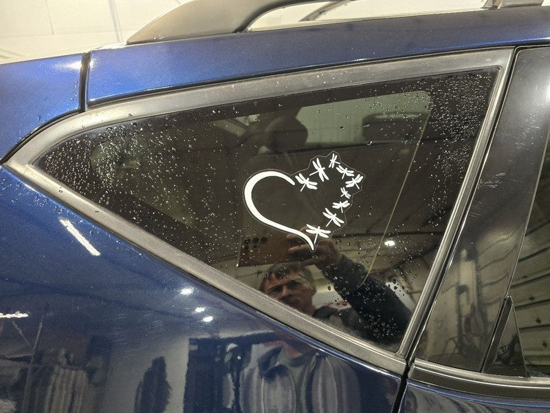 Passenger Right Quarter Glass Fits 03-07 MURANO 619294