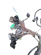 RAM3500   2003 Lamp Wiring Harness 641776
