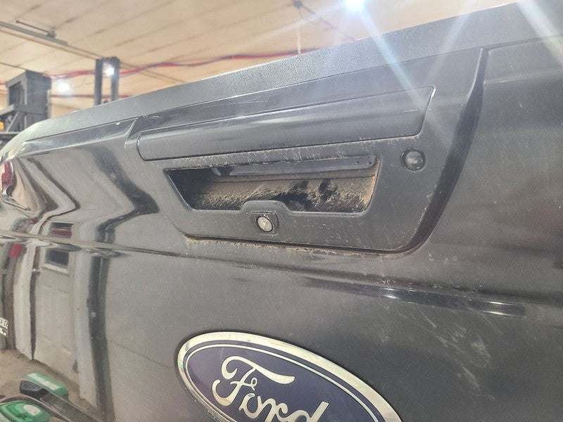 Trunk/Hatch/Tailgate With Rear View Camera Fits 15-17 FORD F150 PICKUP