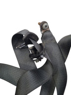 TERRAIN   2010 Seat Belt Rear 618408